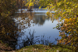 Herbst-Teich / ***