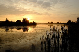 Morgendämmerung / ***