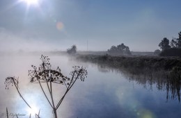 Morgen auf dem See. / ***