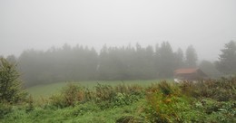 Cottage im Nebel / ***