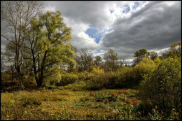 Herbst-Skizzen / ***