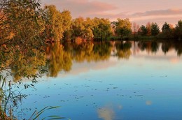 Bunte Herbst / ***