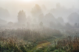 Herbstnebel / ***