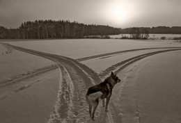 An der Kreuzung / ***