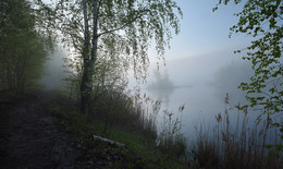 Morgennebel ... / __________