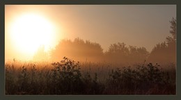 Es werde Licht! / ***