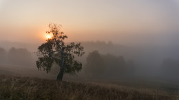Der frühe Vogel fängt ... / ***