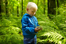 Spaziergang im Wald / ***