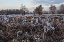 Die ersten Frost / ***