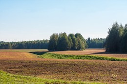 Herbst-Skizzen / ***