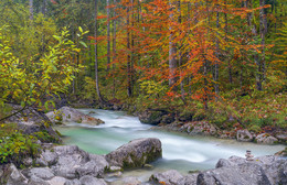 im Zauberwald / im Zauberwald