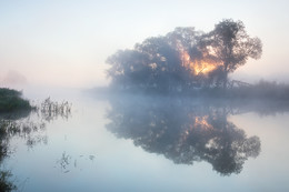 Morgen Stille / ...