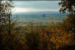 Herbst-Skizzen / ***