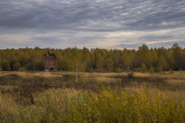 Herbst / ***