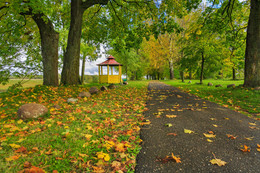 Herbstfarben / ***