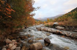 Mountain Fluss / ***