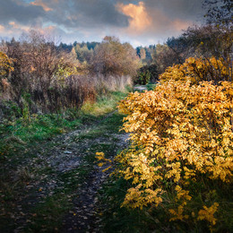 Herbst im Garten / Osen' v sadu