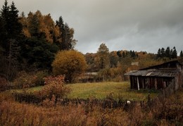 Herbst in Moskau / ***