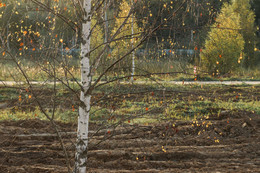 &nbsp; / [img]http://s56.radikal.ru/i154/1710/00/62760ed4df77.jpg[/img]


[img]http://i053.radikal.ru/1710/54/227c773558ff.jpg[/img]