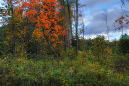 Herbst / ***