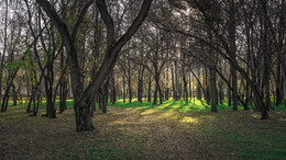 Herbst-Park / ***