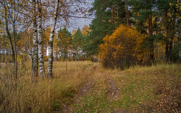 Herbst in Moskau / ***