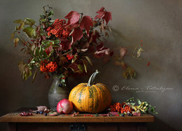 Herbst-Palette / ***