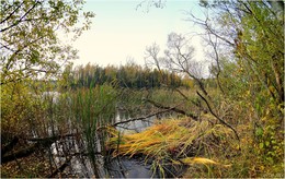 Herbst-Strand / ***