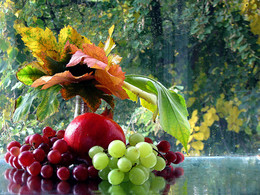 Geschenke des Herbstes / ***