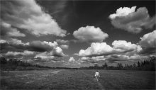 Wandern in den Wolken / ***