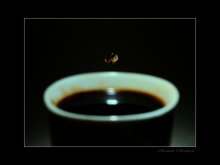 Night Kaffee .... / ***