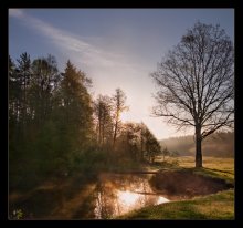 Früh am Morgen ... / ***