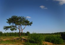 Belarus zu Safari / ---