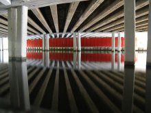Red-Seite / ***
