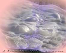 Sea-Schaum / ***