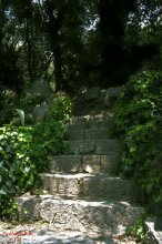 Treppe / ***