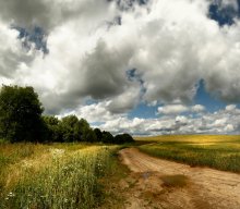 Nach dem Regen / ---