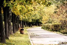 Bis zum Herbst den Boulevard ... / ***