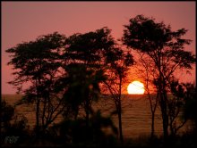 rollte der Sonne ... / ------------