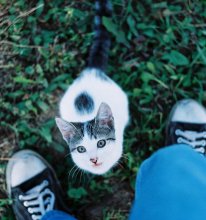 Cat Girl / ***