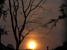 Crown Dawn / ***