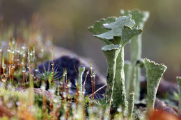 Welt unter den Füßen / ...