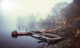 Haunted Forest / ***