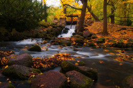 Herbst-Landschaft / ***