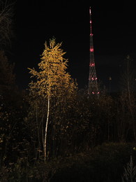 &nbsp; / 2017-10-14-127-C00-056(82)