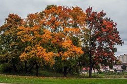 Herbst-Skizzen / ***