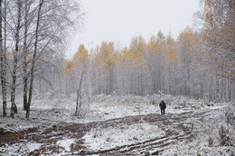 Der erste Schnee / ***