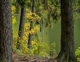 Herbst Skizze ... / ***