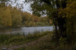 Herbststimmung. / ***