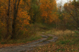 Herbst Spur / ***